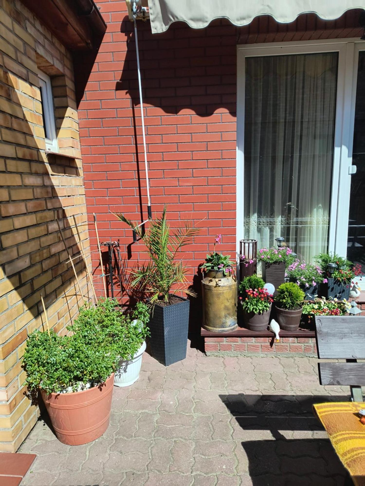 Appartamento Ogrodek U Eli Kołobrzeg Esterno foto